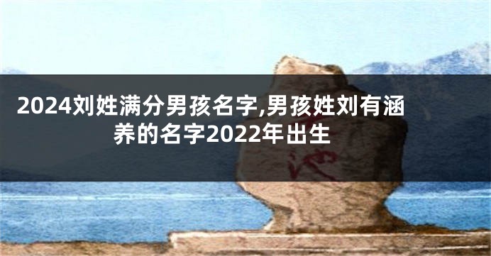 2024刘姓满分男孩名字,男孩姓刘有涵养的名字2022年出生