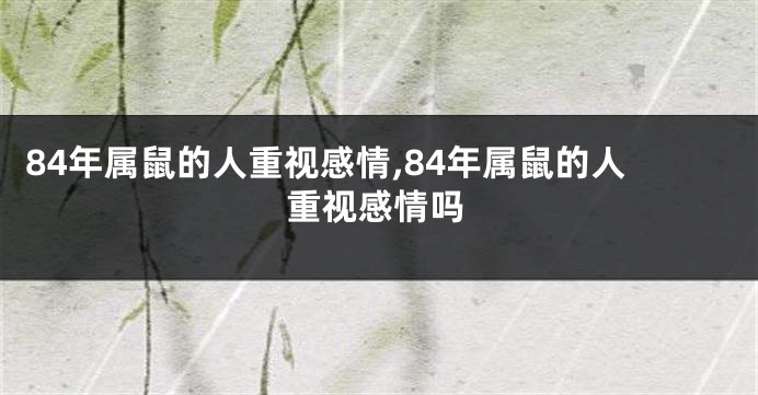 84年属鼠的人重视感情,84年属鼠的人重视感情吗