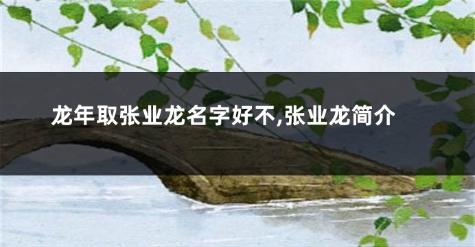 龙年取张业龙名字好不,张业龙简介