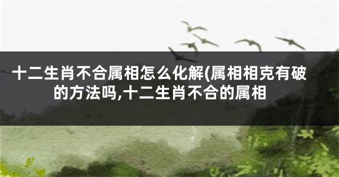 十二生肖不合属相怎么化解(属相相克有破的方法吗,十二生肖不合的属相