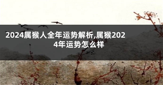 2024属猴人全年运势解析,属猴2024年运势怎么样