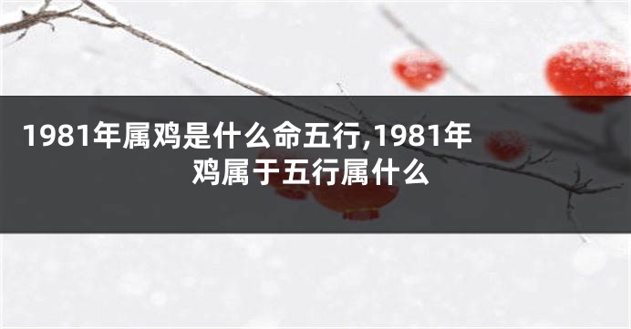 1981年属鸡是什么命五行,1981年鸡属于五行属什么