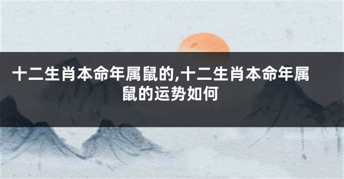 十二生肖本命年属鼠的,十二生肖本命年属鼠的运势如何