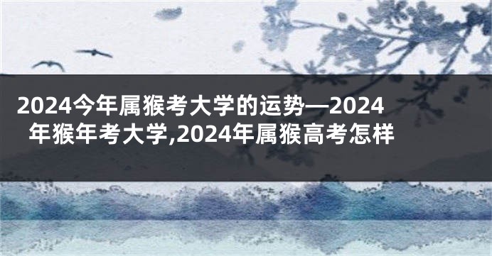 2024今年属猴考大学的运势—2024年猴年考大学,2024年属猴高考怎样