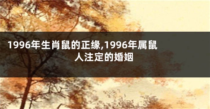 1996年生肖鼠的正缘,1996年属鼠人注定的婚姻