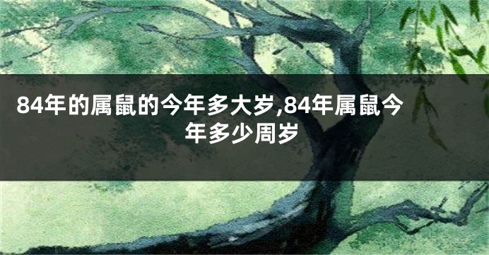 84年的属鼠的今年多大岁,84年属鼠今年多少周岁