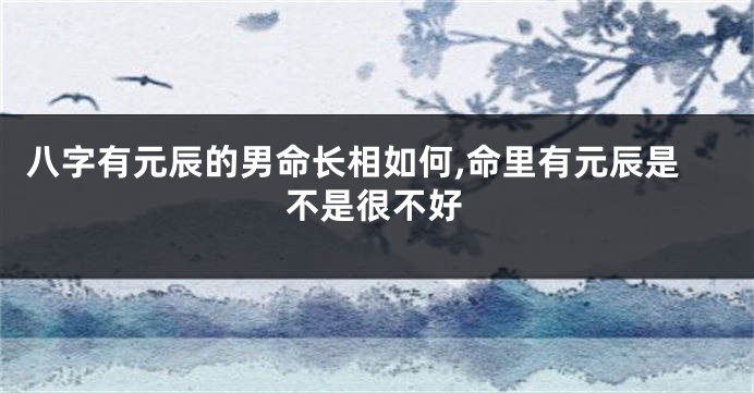 八字有元辰的男命长相如何,命里有元辰是不是很不好