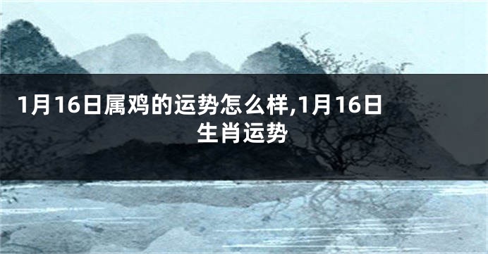 1月16日属鸡的运势怎么样,1月16日生肖运势