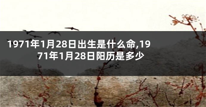 1971年1月28日出生是什么命,1971年1月28日阳历是多少