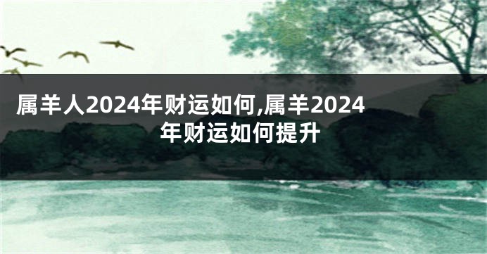 属羊人2024年财运如何,属羊2024年财运如何提升