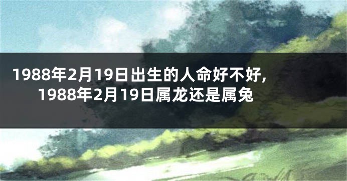 1988年2月19日出生的人命好不好,1988年2月19日属龙还是属兔