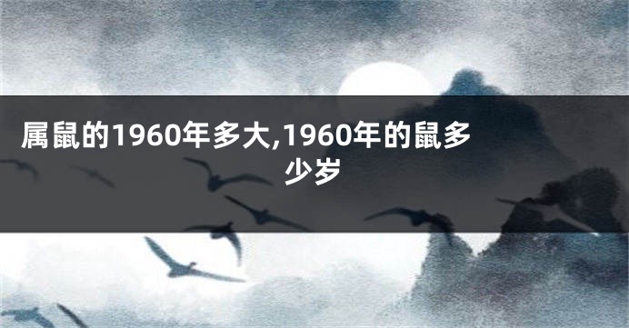 属鼠的1960年多大,1960年的鼠多少岁