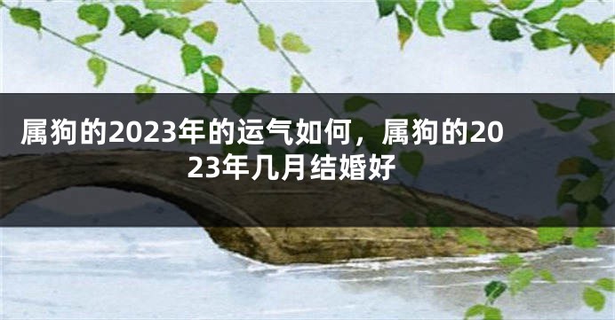 属狗的2023年的运气如何，属狗的2023年几月结婚好