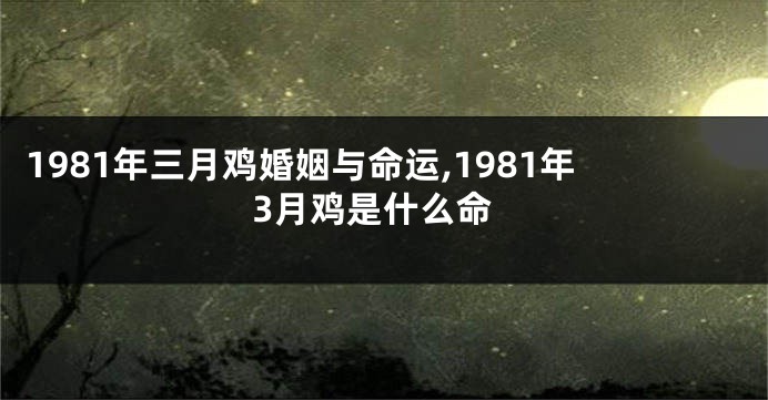 1981年三月鸡婚姻与命运,1981年3月鸡是什么命