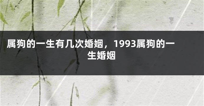 属狗的一生有几次婚姻，1993属狗的一生婚姻