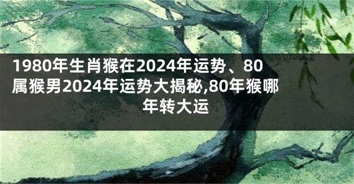 1980年生肖猴在2024年运势、80属猴男2024年运势大揭秘,80年猴哪年转大运