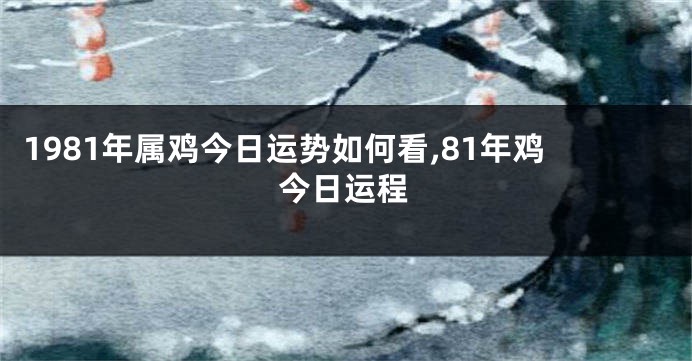 1981年属鸡今日运势如何看,81年鸡今日运程