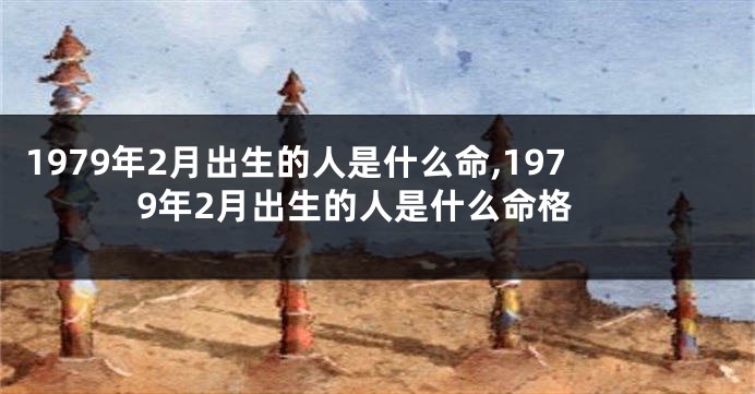 1979年2月出生的人是什么命,1979年2月出生的人是什么命格