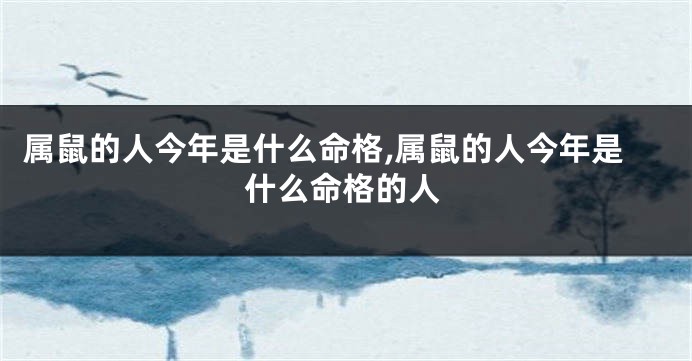 属鼠的人今年是什么命格,属鼠的人今年是什么命格的人