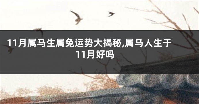 11月属马生属兔运势大揭秘,属马人生于11月好吗