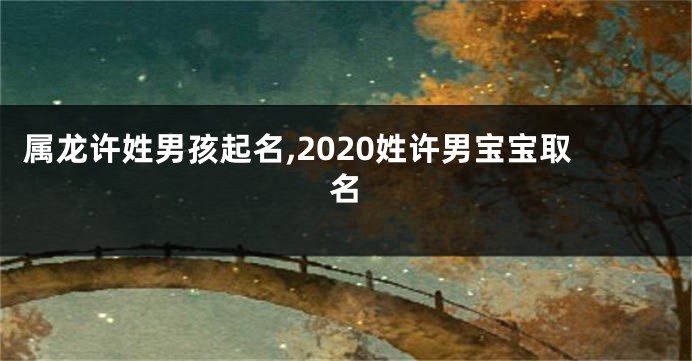 属龙许姓男孩起名,2020姓许男宝宝取名