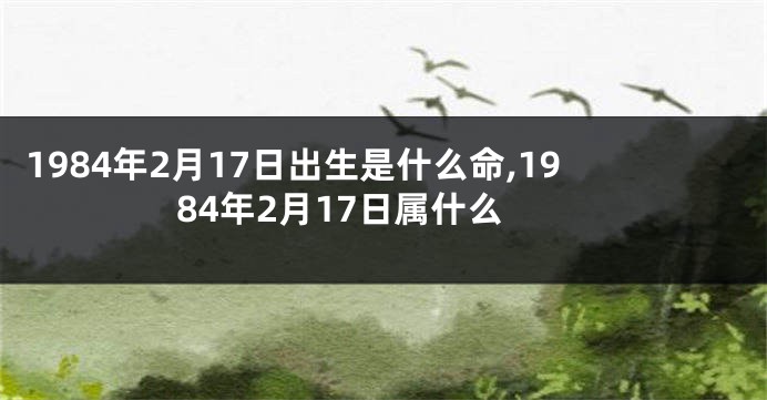 1984年2月17日出生是什么命,1984年2月17日属什么