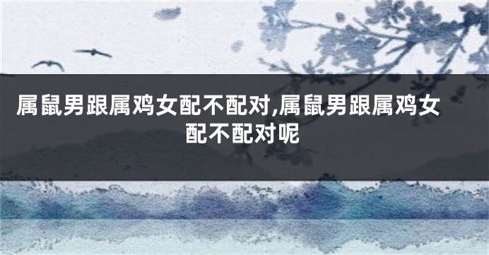 属鼠男跟属鸡女配不配对,属鼠男跟属鸡女配不配对呢