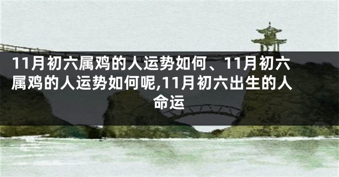 11月初六属鸡的人运势如何、11月初六属鸡的人运势如何呢,11月初六出生的人命运