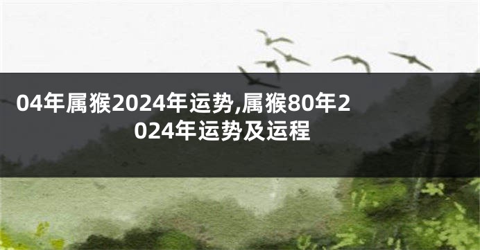 04年属猴2024年运势,属猴80年2024年运势及运程