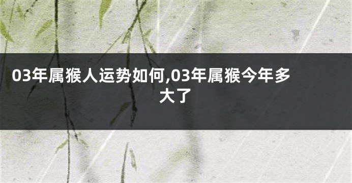 03年属猴人运势如何,03年属猴今年多大了