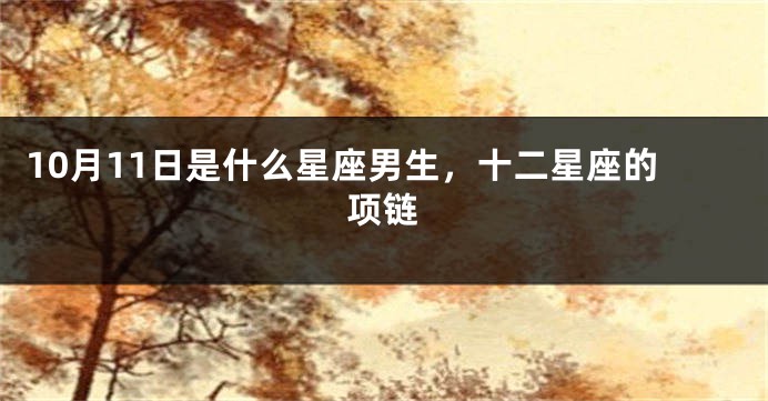 10月11日是什么星座男生，十二星座的项链