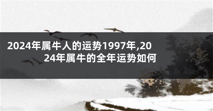 2024年属牛人的运势1997年,2024年属牛的全年运势如何