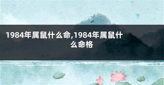 1984年属鼠什么命,1984年属鼠什么命格