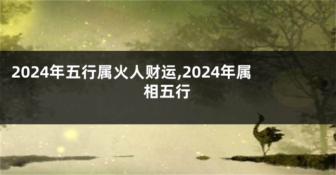 2024年五行属火人财运,2024年属相五行