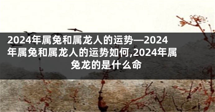 2024年属兔和属龙人的运势—2024年属兔和属龙人的运势如何,2024年属兔龙的是什么命