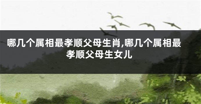 哪几个属相最孝顺父母生肖,哪几个属相最孝顺父母生女儿