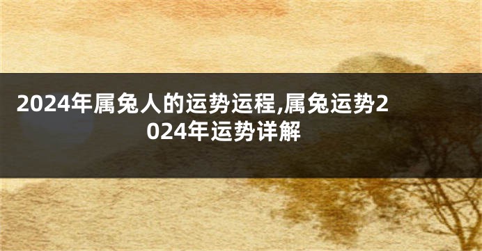 2024年属兔人的运势运程,属兔运势2024年运势详解