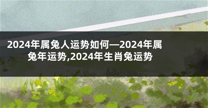 2024年属兔人运势如何—2024年属兔年运势,2024年生肖兔运势