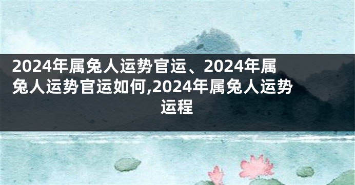 2024年属兔人运势官运、2024年属兔人运势官运如何,2024年属兔人运势运程