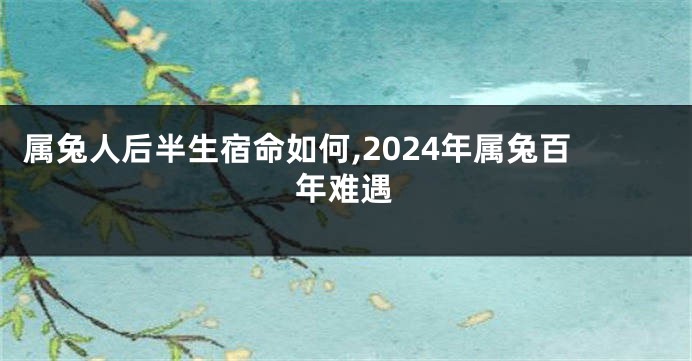 属兔人后半生宿命如何,2024年属兔百年难遇