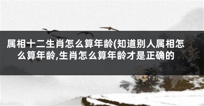 属相十二生肖怎么算年龄(知道别人属相怎么算年龄,生肖怎么算年龄才是正确的