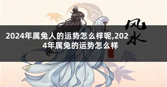 2024年属兔人的运势怎么样呢,2024年属兔的运势怎么样