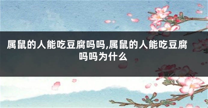 属鼠的人能吃豆腐吗吗,属鼠的人能吃豆腐吗吗为什么