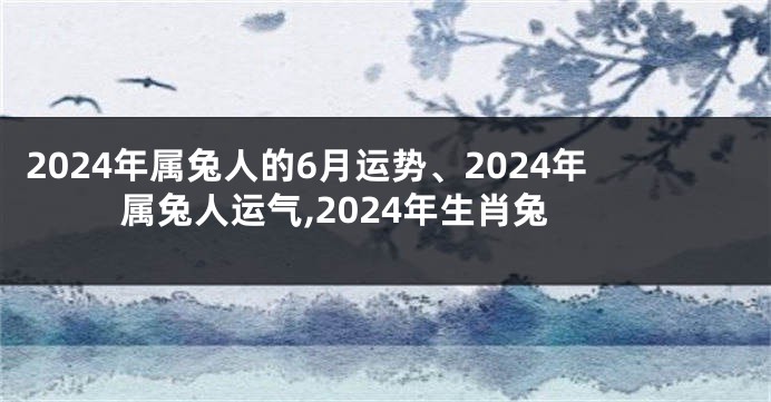 2024年属兔人的6月运势、2024年属兔人运气,2024年生肖兔