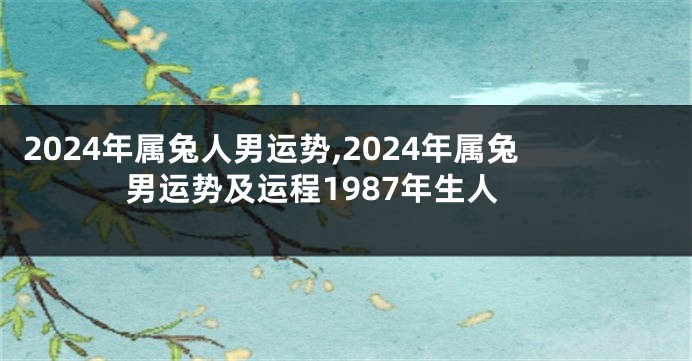 2024年属兔人男运势,2024年属兔男运势及运程1987年生人