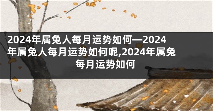 2024年属兔人每月运势如何—2024年属兔人每月运势如何呢,2024年属兔每月运势如何