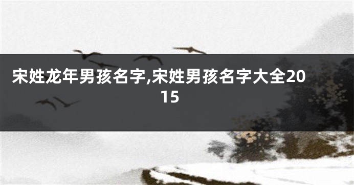 宋姓龙年男孩名字,宋姓男孩名字大全2015