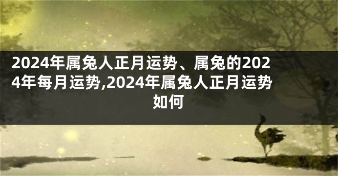 2024年属兔人正月运势、属兔的2024年每月运势,2024年属兔人正月运势如何