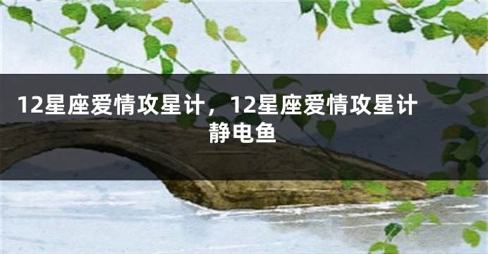 12星座爱情攻星计，12星座爱情攻星计静电鱼