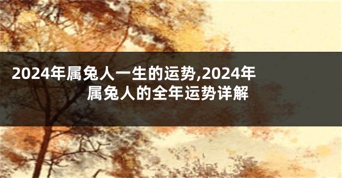 2024年属兔人一生的运势,2024年属兔人的全年运势详解